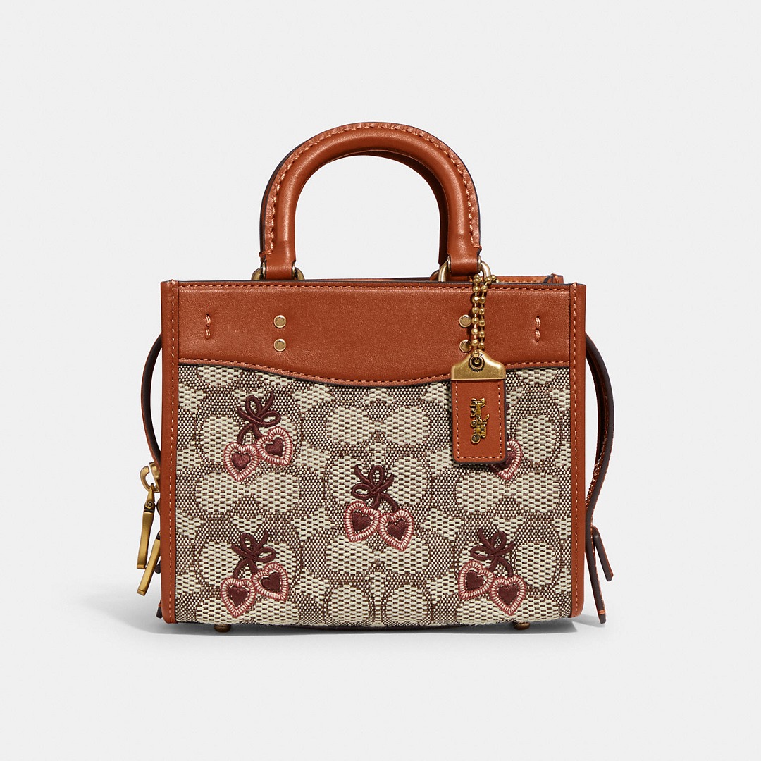 coach2022新款包,coach2022新款包包