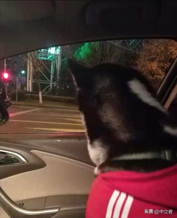 你觉得男人老了的标志是什么,男人衰老的特征