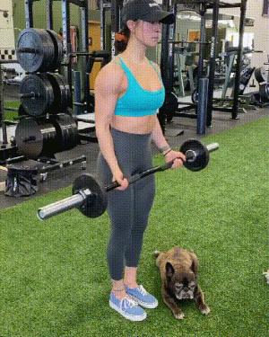 练背部和二头肌的锻炼方法,锻炼背部和肱二头肌的训练目的