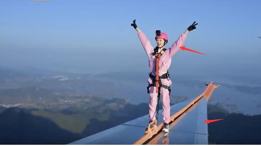 郑钧评价苗苗扮猪吃老虎,苗苗评价郑钧刘芸