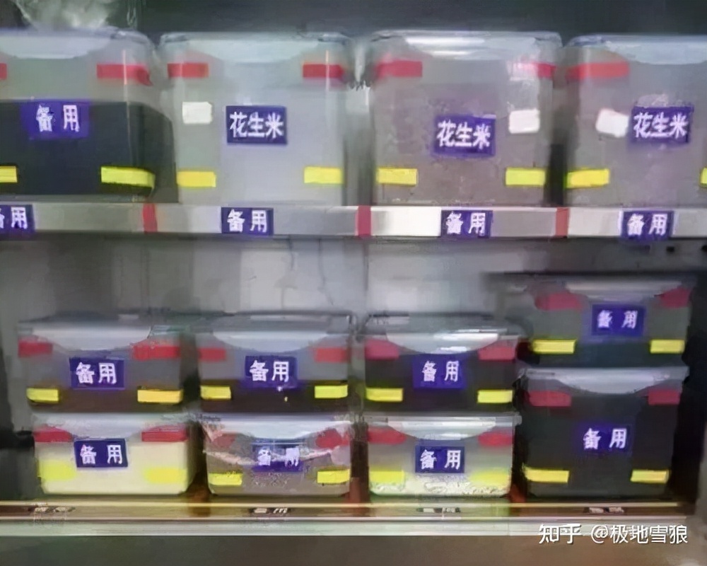 十一课作业讲解,十一课的内容