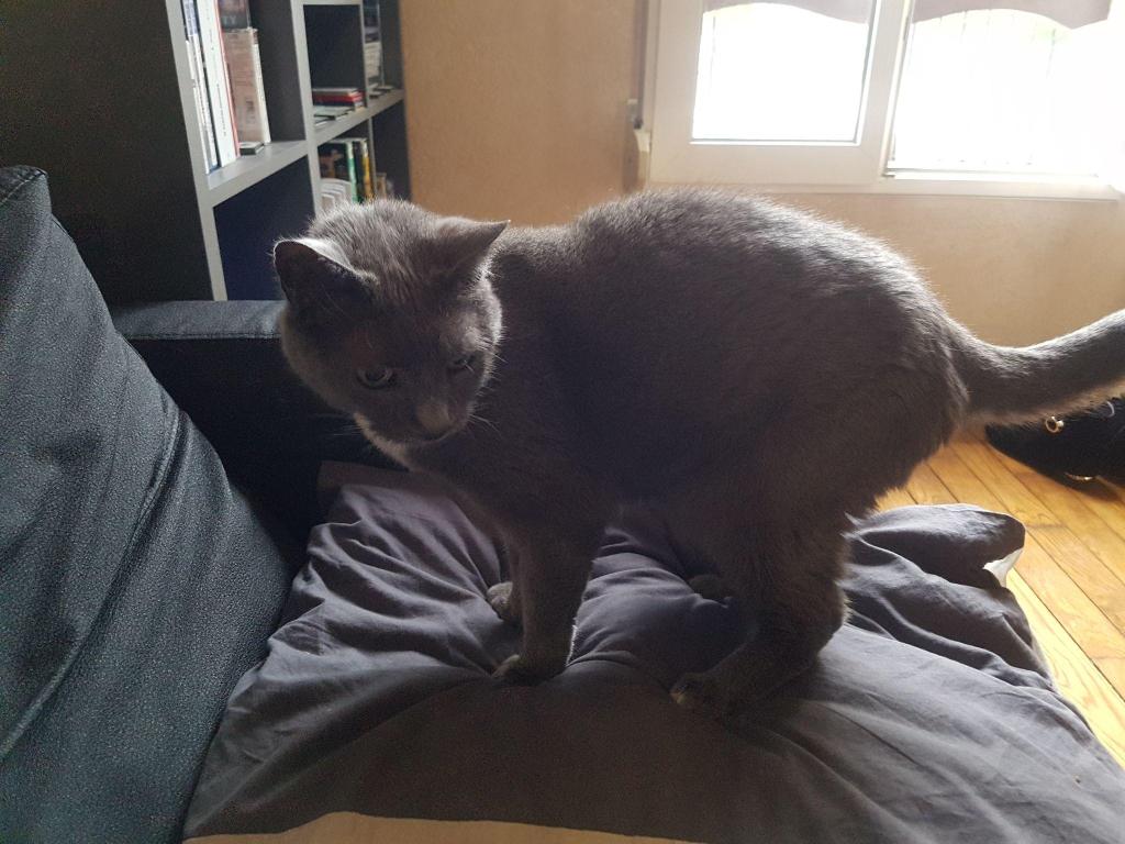 如何证明图灵完备,图灵完备条件判断