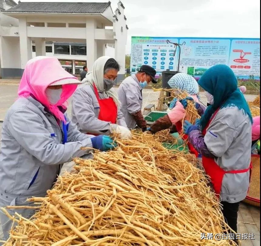 久久为功行稳致远图片,久久为功精益求精善作善成