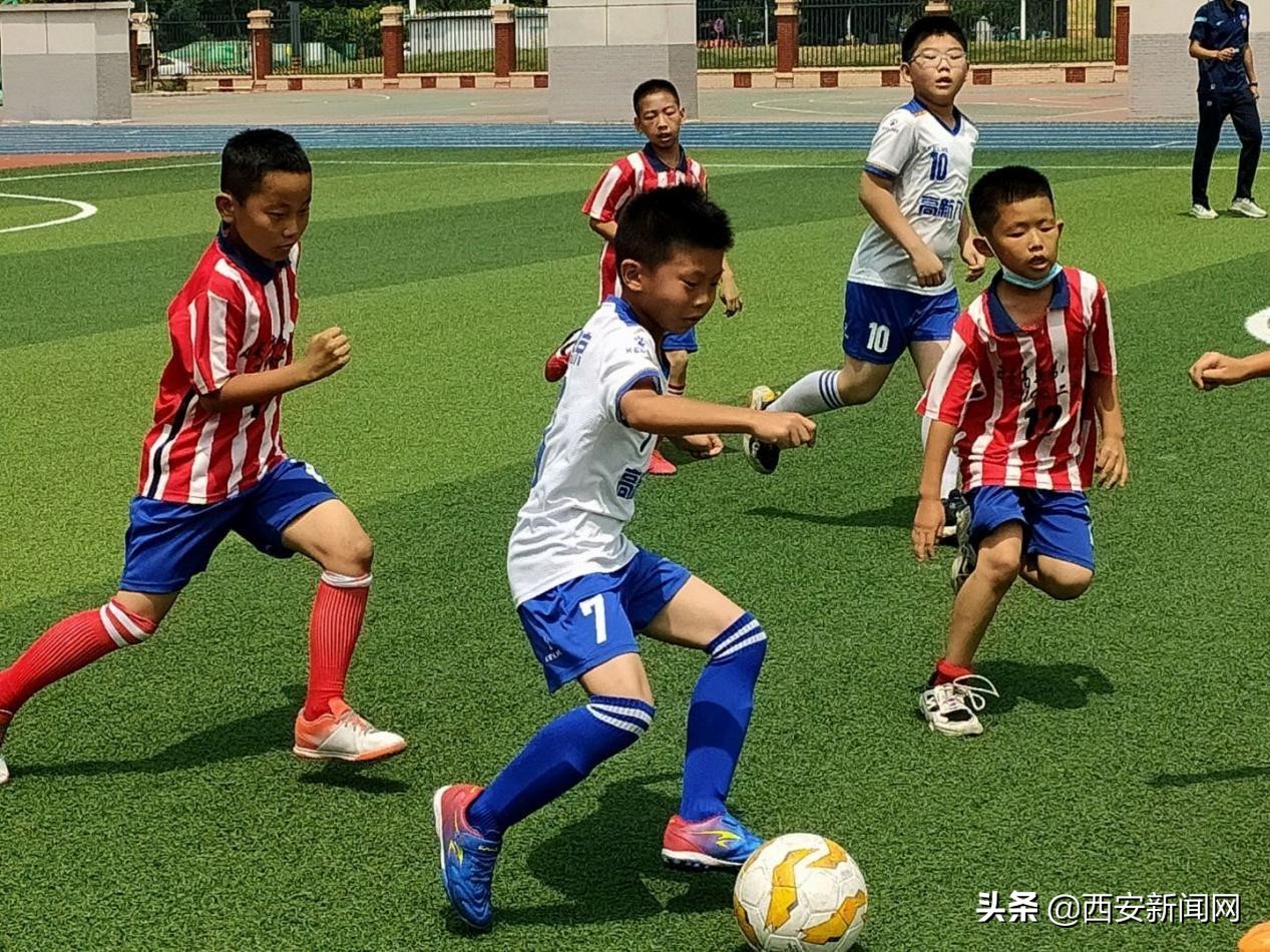 西安高新区第八小学有多少个班,西安高新区第八小学在什么地方