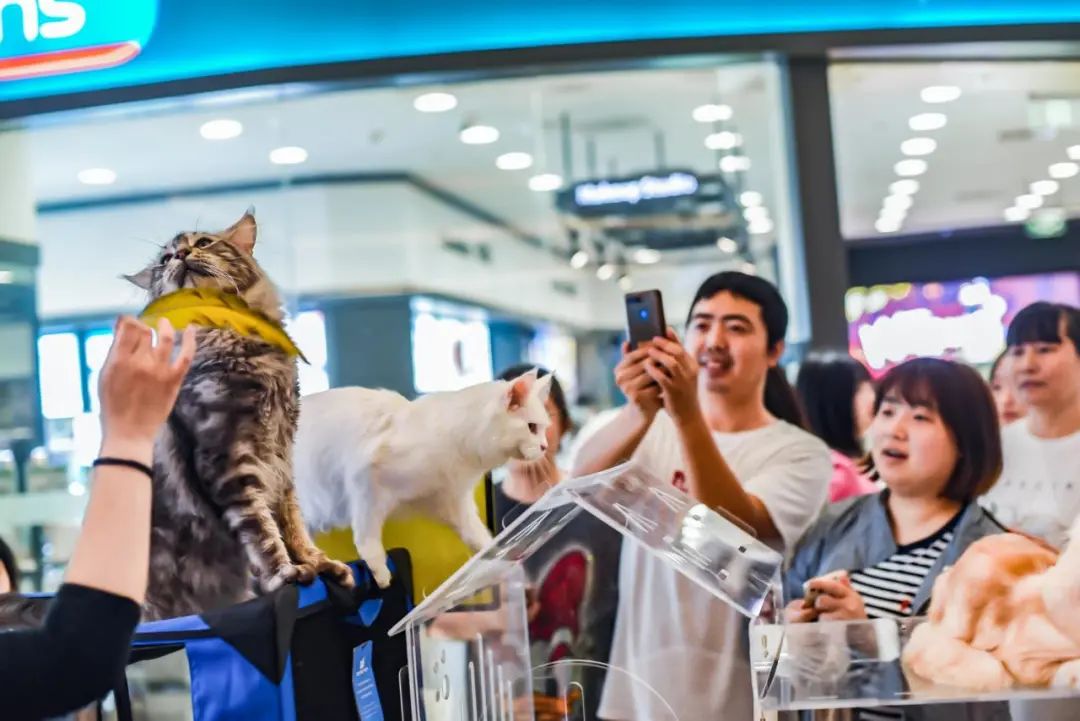 一起玩出彩er，「北京世纪金源」邀你共同畅享假日小时光！