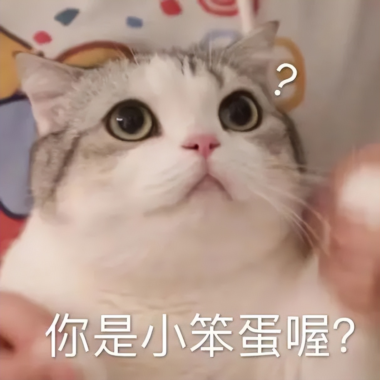 我涉嫌喜欢你表情包,今日任务喜欢你表情包