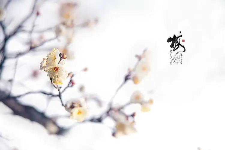 画意风光,画意风光摄影