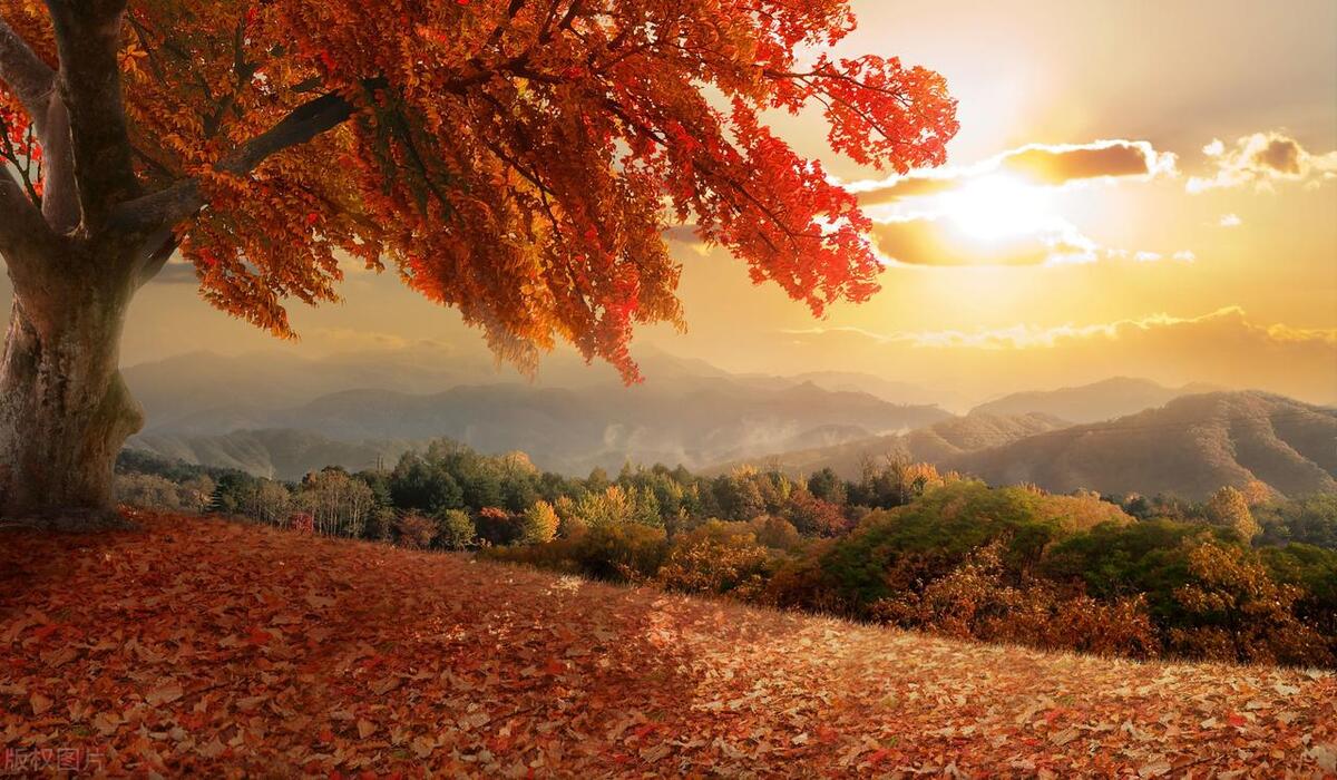 十首充满哲理的古诗词,很有人生哲理的古诗词