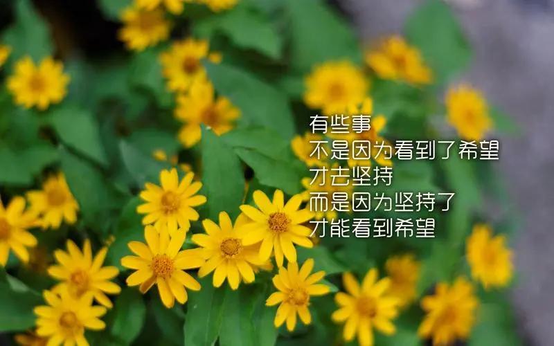 0基础小白快速入门自媒体必看,自媒体新手小白入门快速注册账号