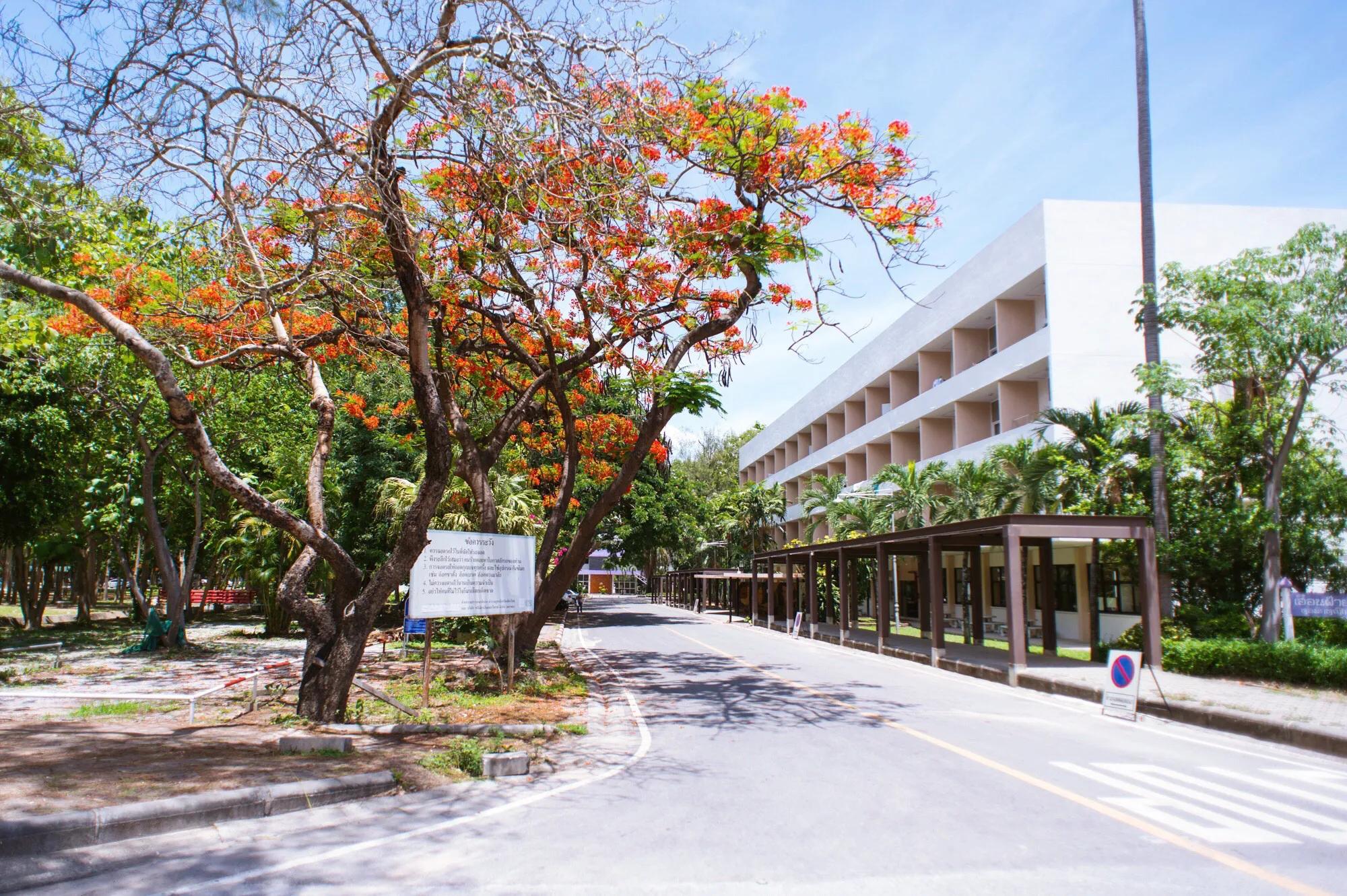 清迈清莱有哪些地方好玩,清迈清莱旅游热门景点遗址