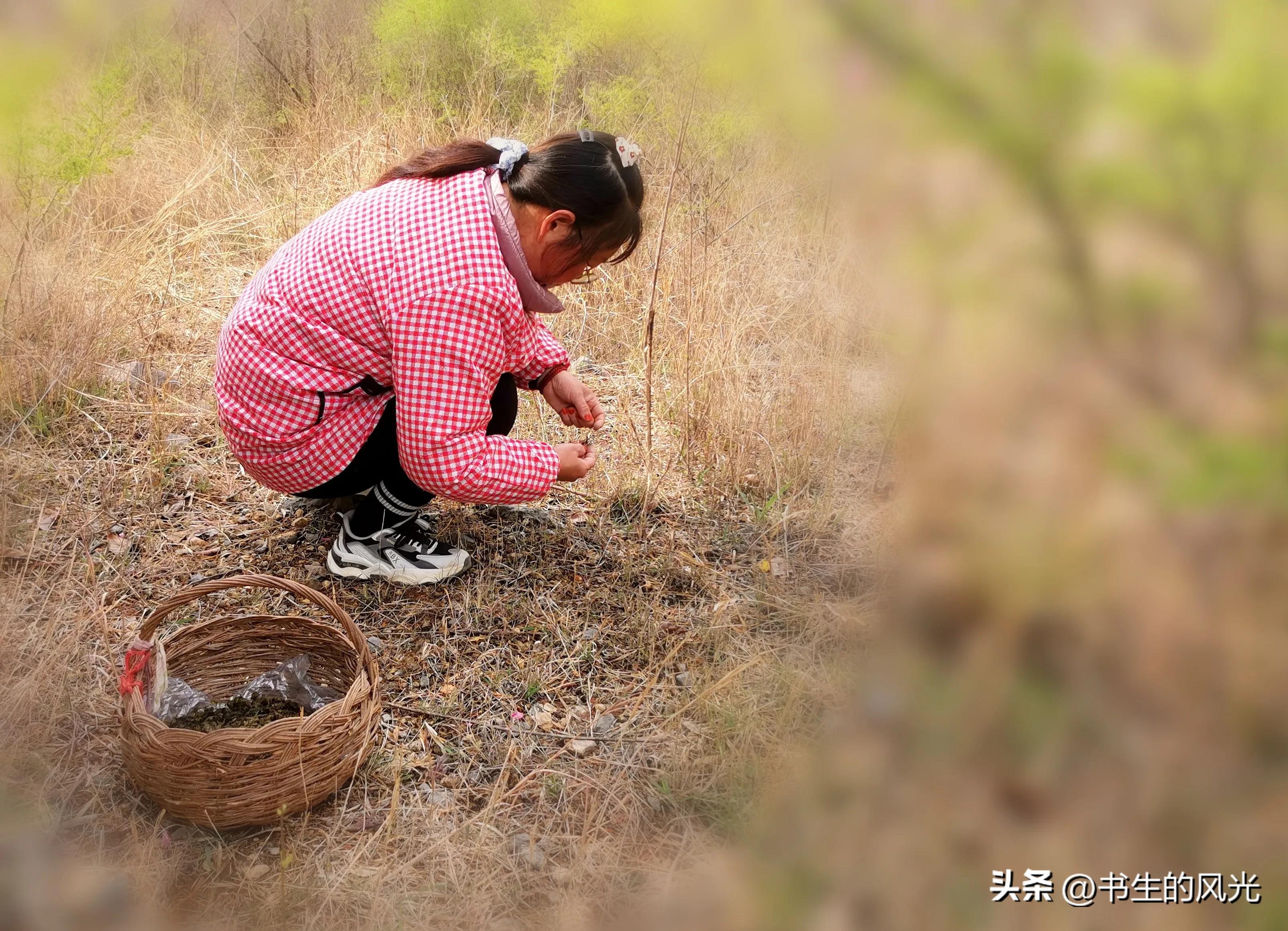 如何让你的手机摄影算法变强,手机拍照体验成像算法