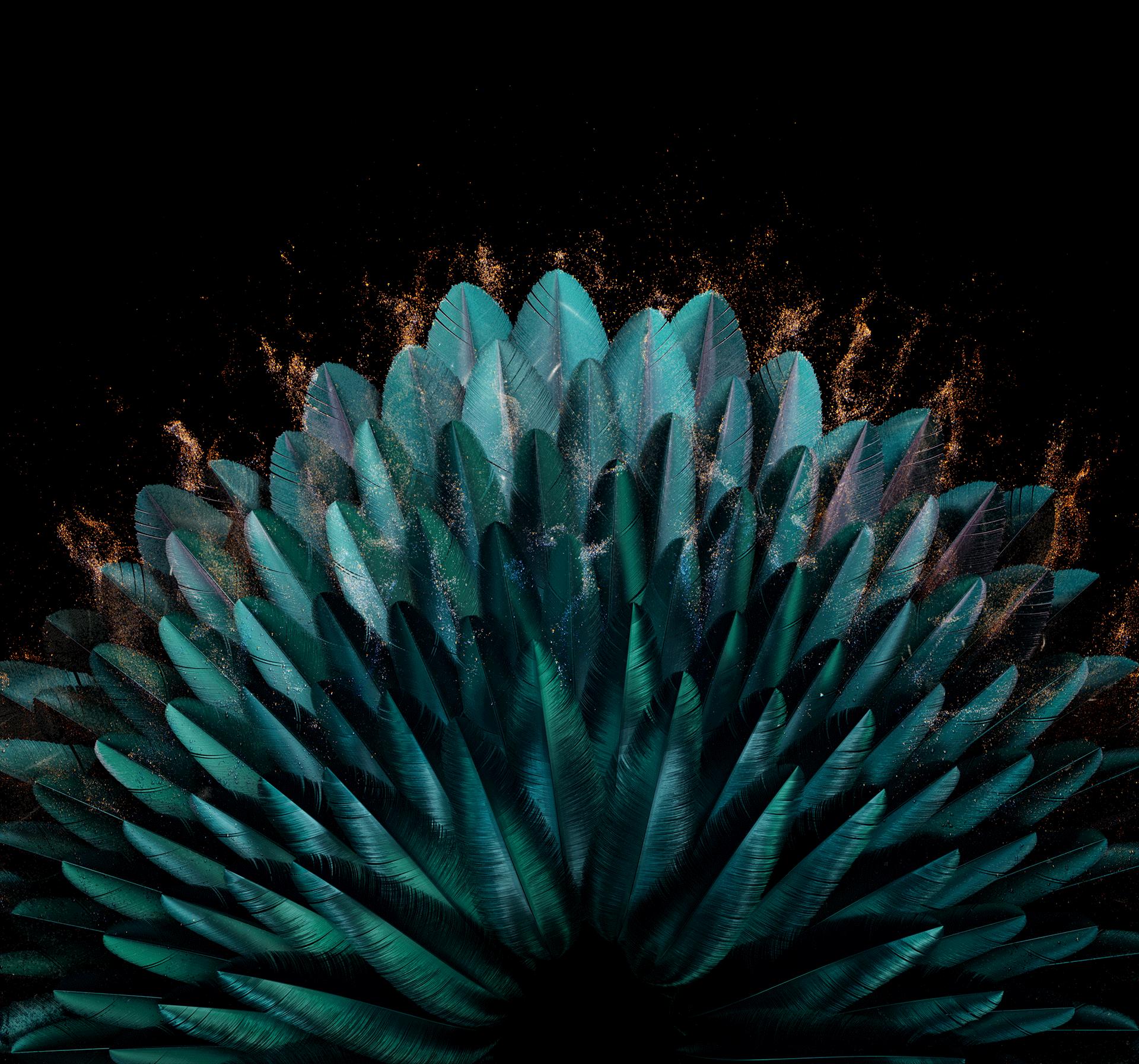 oppofindn2内置壁纸,OPPOFindN2Flip内置壁纸系列