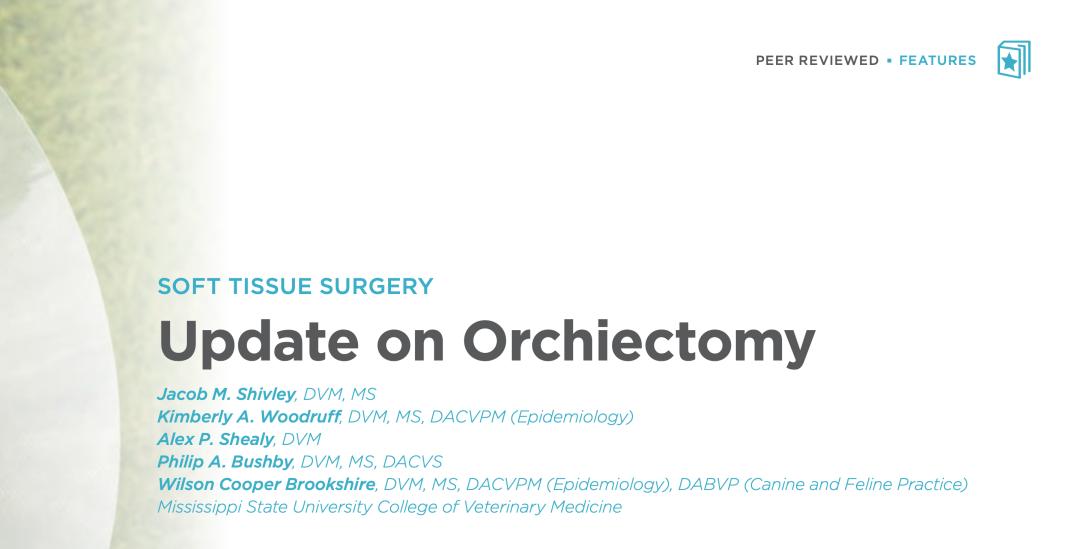 附睾炎切除术多少钱,附睾炎微创手术治疗全过程