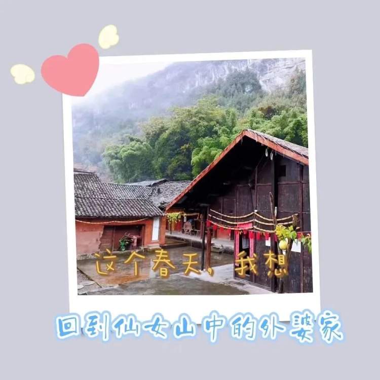 春天美好的心愿和祝福,一整个春天许下的心愿