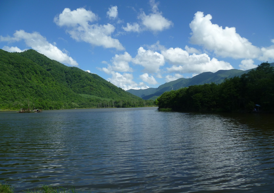 带你欣赏大九湖的美景,大九湖之旅