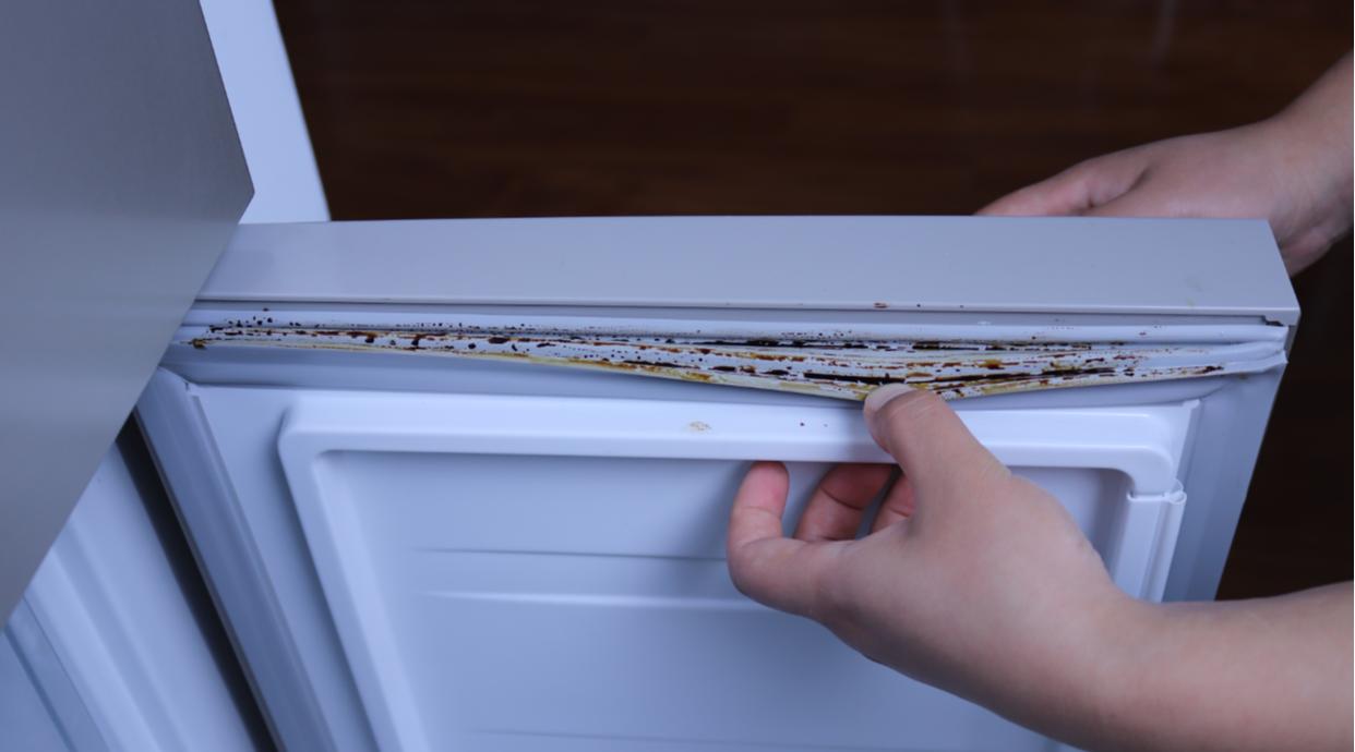 国内冰箱十大品牌2023排行榜,冰箱哪个品牌质量最好怎样选冰箱