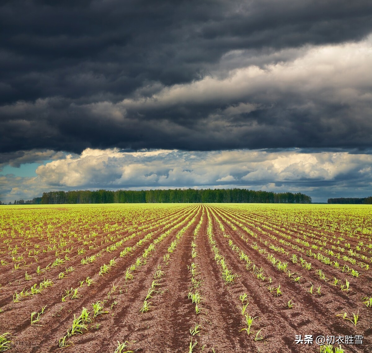 雨水节气诗词精选,雨水节气诗词十首