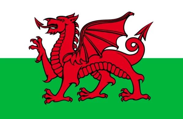 旗开得胜世界杯完整版,旗开得胜2010世界杯