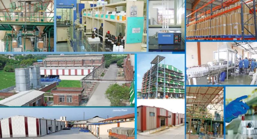 鍩哄洜缁勫伐鍏风,妞嶇墿鍩哄洜缁勫伐鍏风