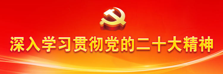 杜诚主持召开2022年度乡镇*党**委书记和县直各*党**（工）委书记抓基层*党**建工作述职评议会