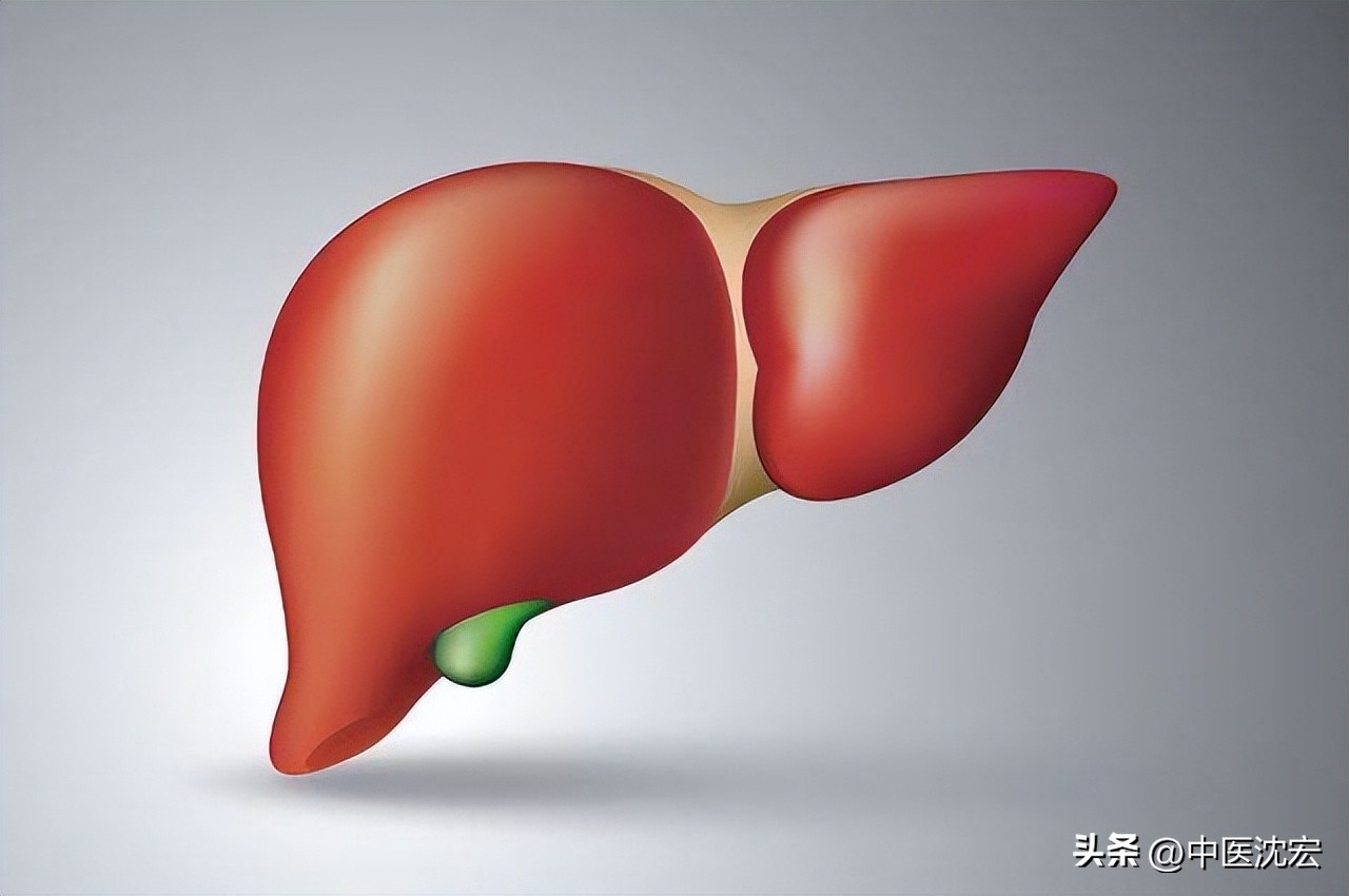 一味药去肝火护脾胃,清肝利胆疏肝理气用什么中成药