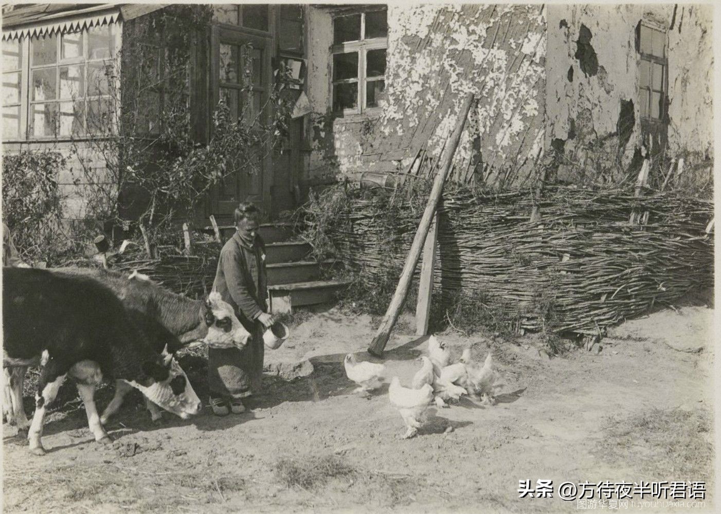 日本人镜头下的哈尔滨：八九十年前的远东大都市