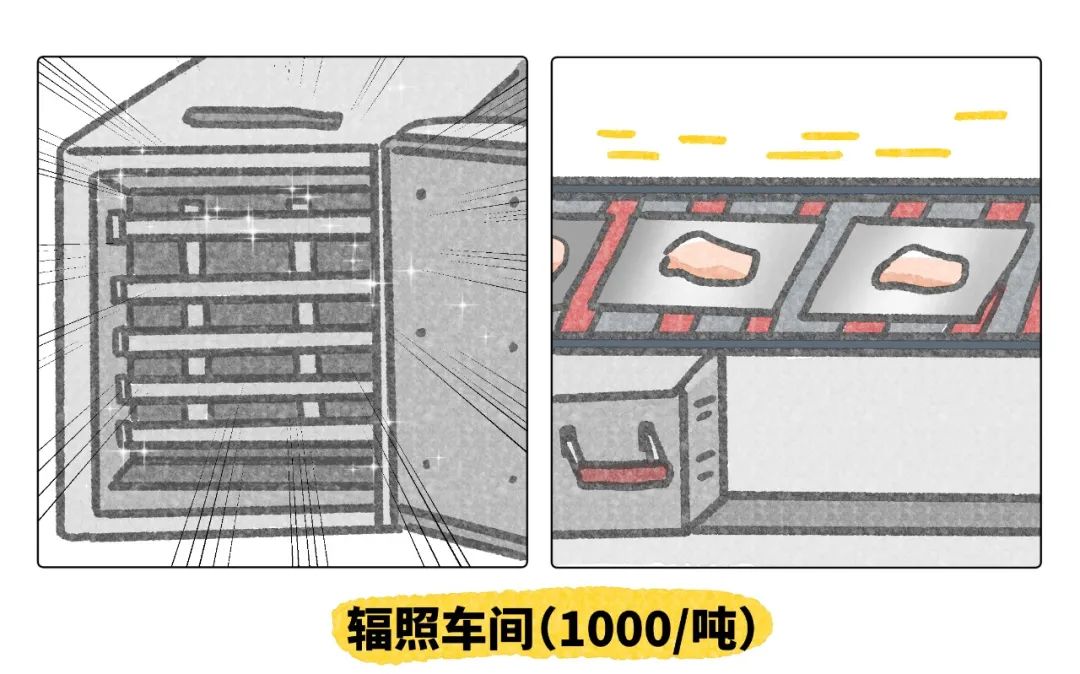 养猫卖宠物用品变现,养猫注意事项和骗局