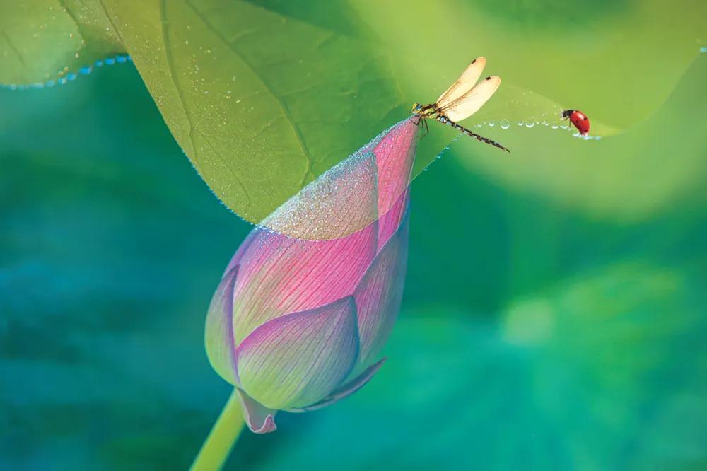 教你开美食小吃店,如何开餐饮外卖小店
