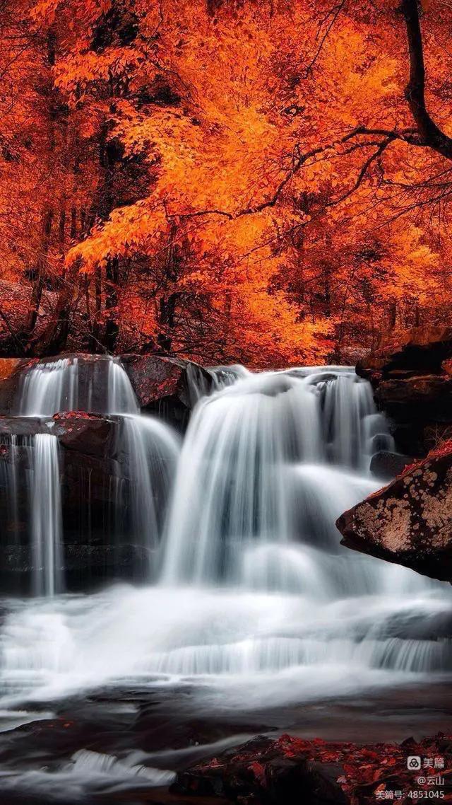 画意风光,画意风光摄影