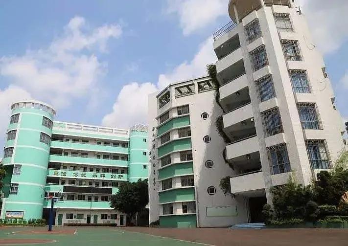 滞留在罗湖草埔小学的12个“过路人”