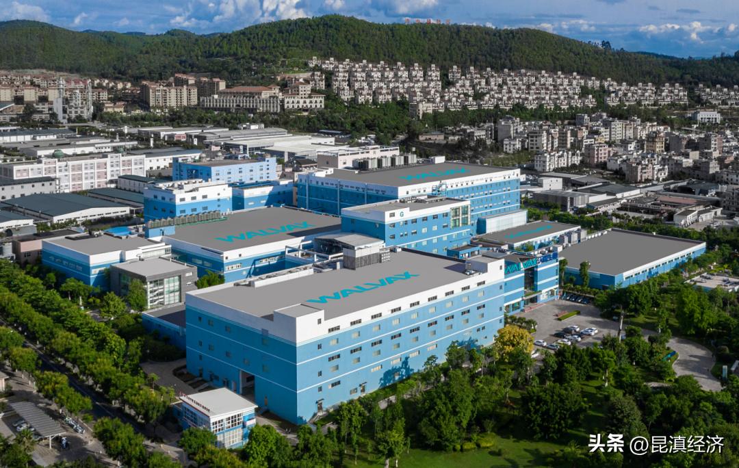 云南海诚集团市值300亿,云南市值排名前十的公司