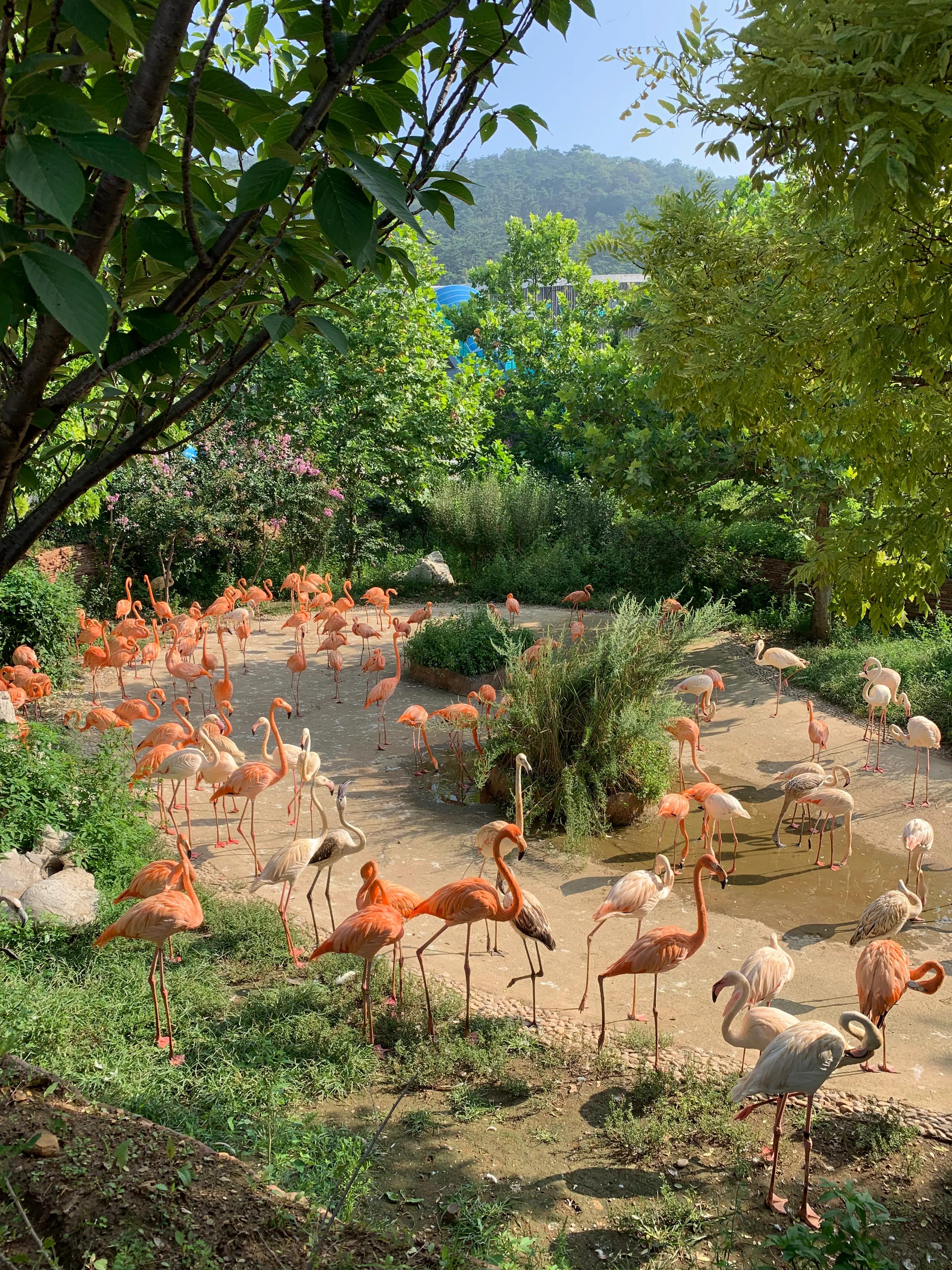 大连动物森林公园旅游攻略,大连森林动物公园旅游攻略