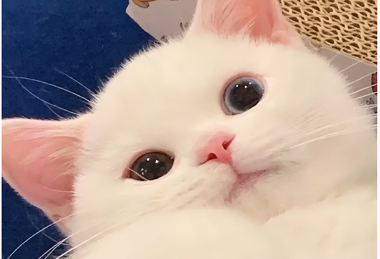 dnf60版本搬砖收益排行,dnf60版本搬砖最大的地方