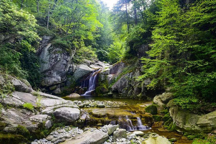 这才是清凉夏天的打开方式,清凉一夏夏天的正确打开方式