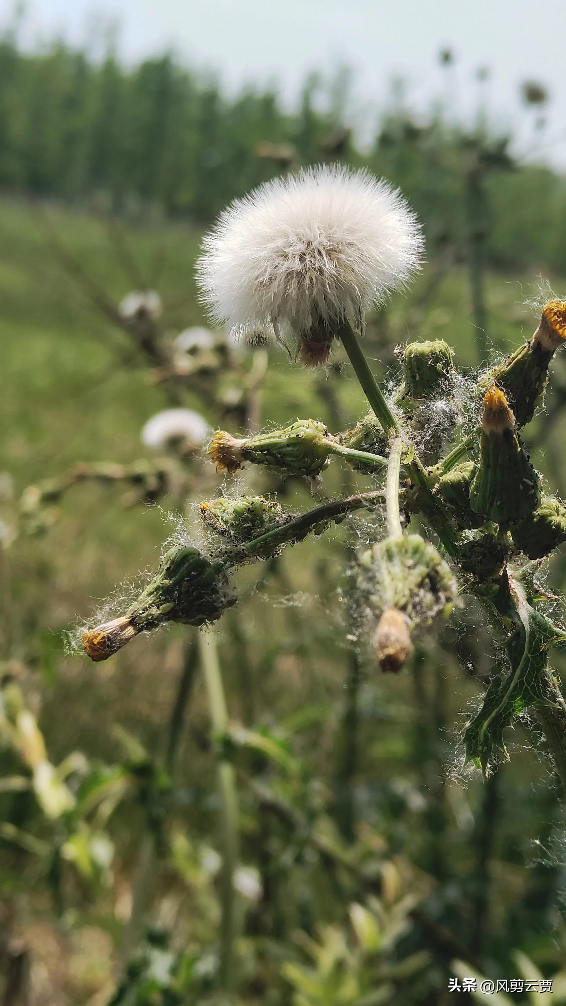 当你被人嘲笑和讽刺时你会怎么做,别人歧视你时你怎么反驳