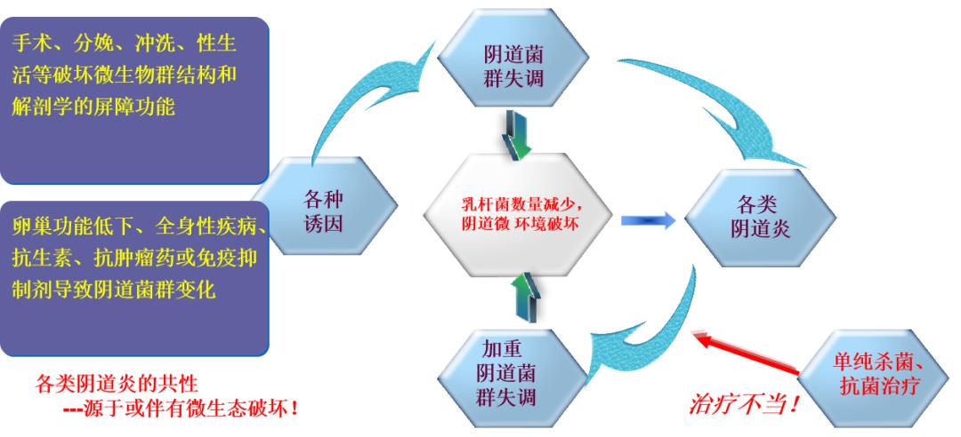 派特灵生物,派特灵生物讲解