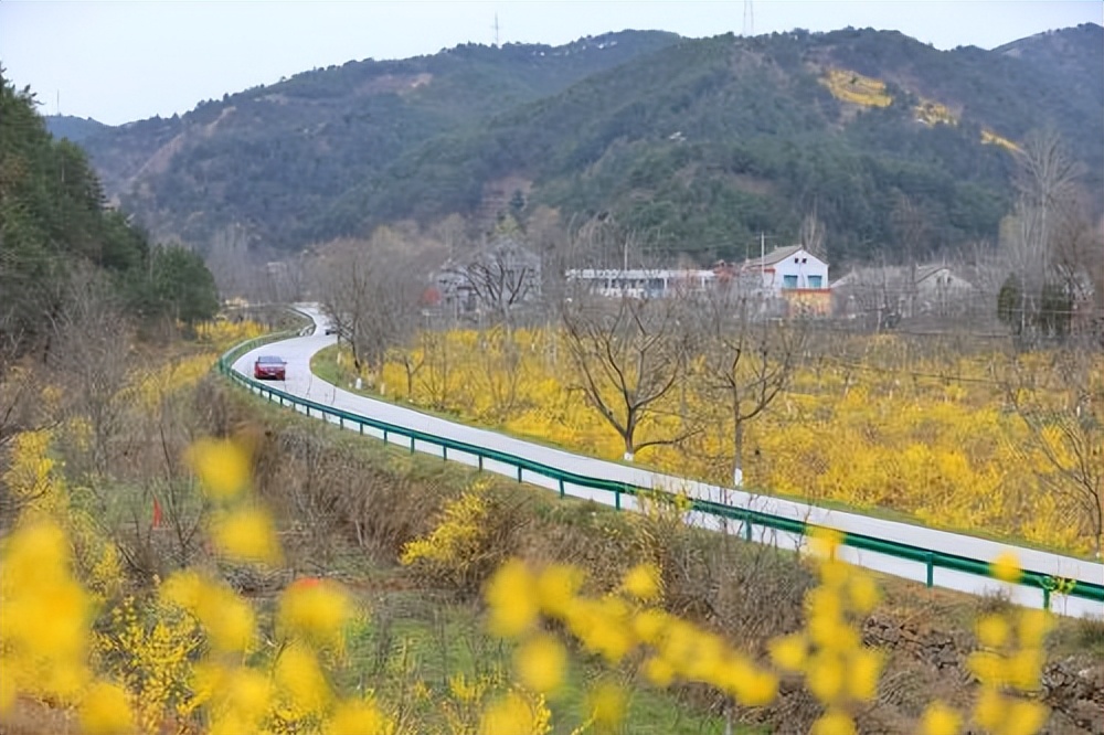 抓项目促发展专项行动推进会精神,稳增长促转型项目建设加压奋进