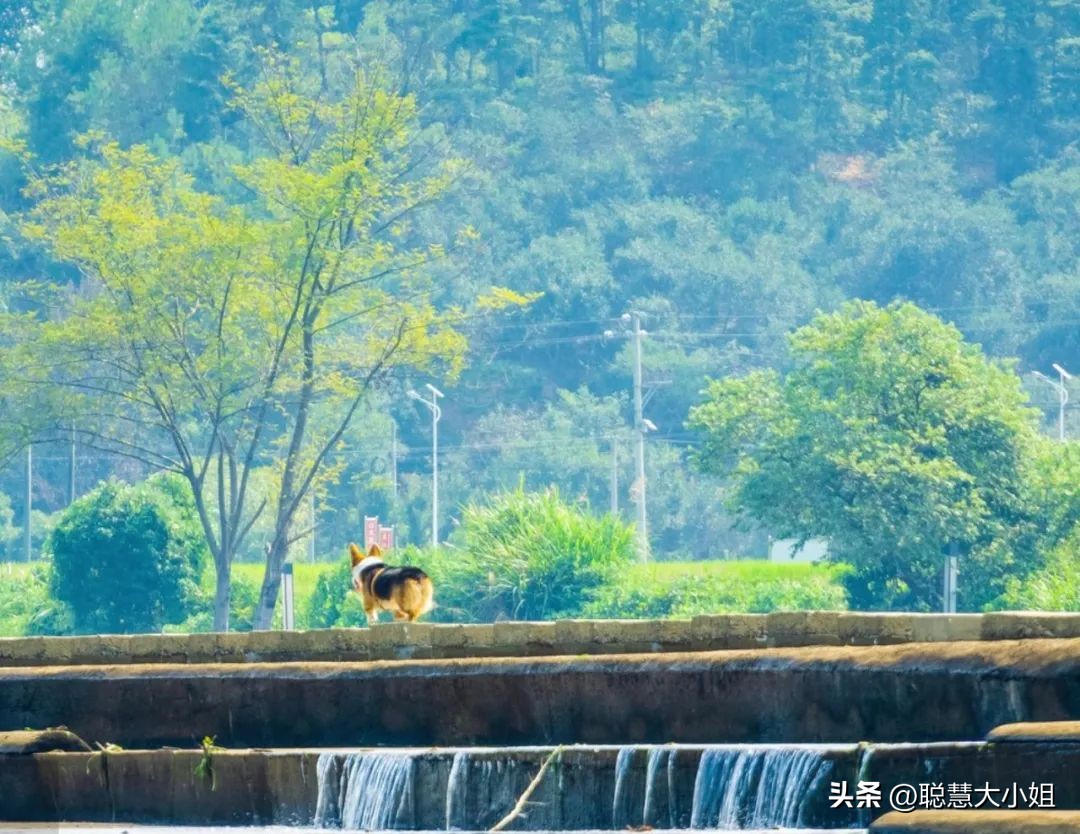 一场烟花登顶热搜！满城美食火成顶流，这座夏日小城太宝藏了！