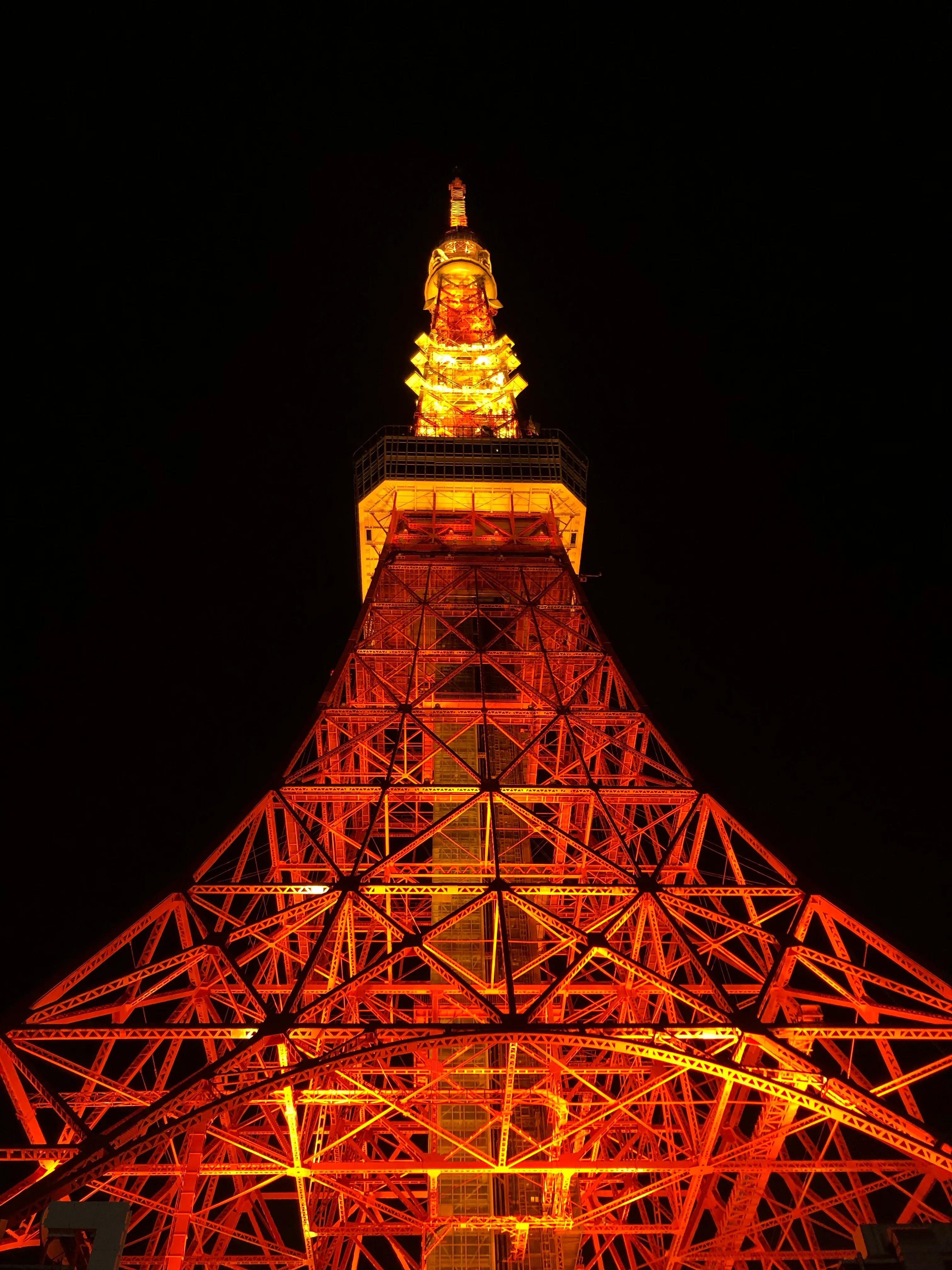 一次旅行的经历英语版,日本旅行攻略超详细篇