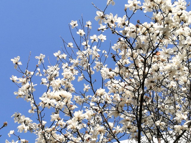 投资与利率的关系,投资与理财专业大专未来能干什么