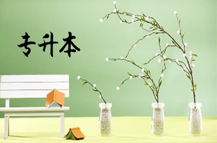 自考专升本和成考专升本哪个好,自考专升本和成考专升本啥意思