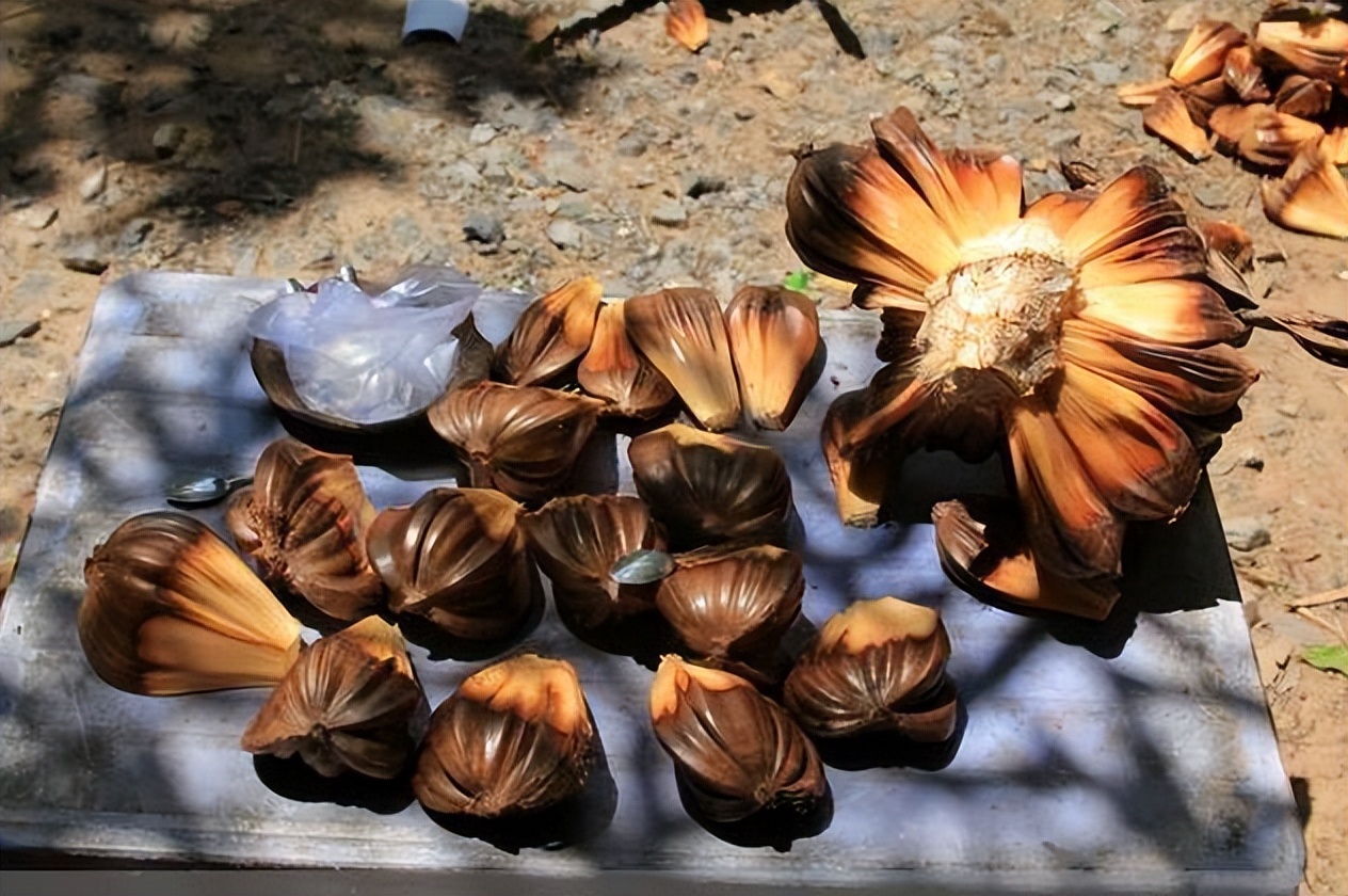 越南烂大街的食物,越南水果烂街视频