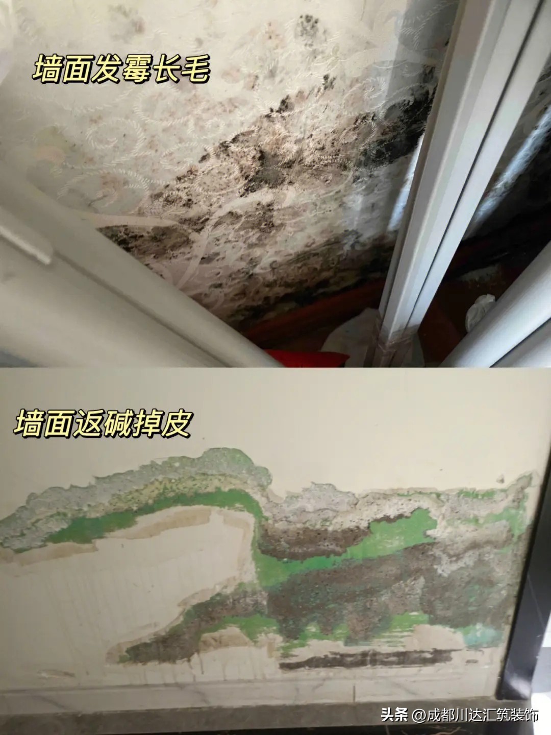 卫生间该怎么弄才能做到干湿分离,卫生间干湿分离正确的解决方案