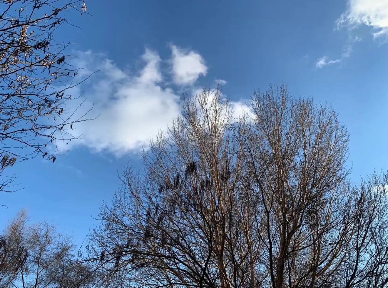 抗癌日记终结篇,宫颈癌转移抗癌成功案例