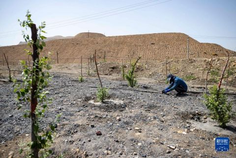 贺兰山煤层燃烧怎么引起的,贺兰山煤层燃烧历史