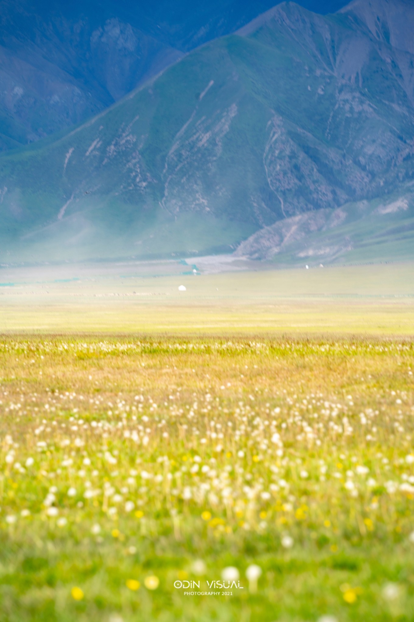 去新疆发现伊犁的美,世界之美尽在伊犁