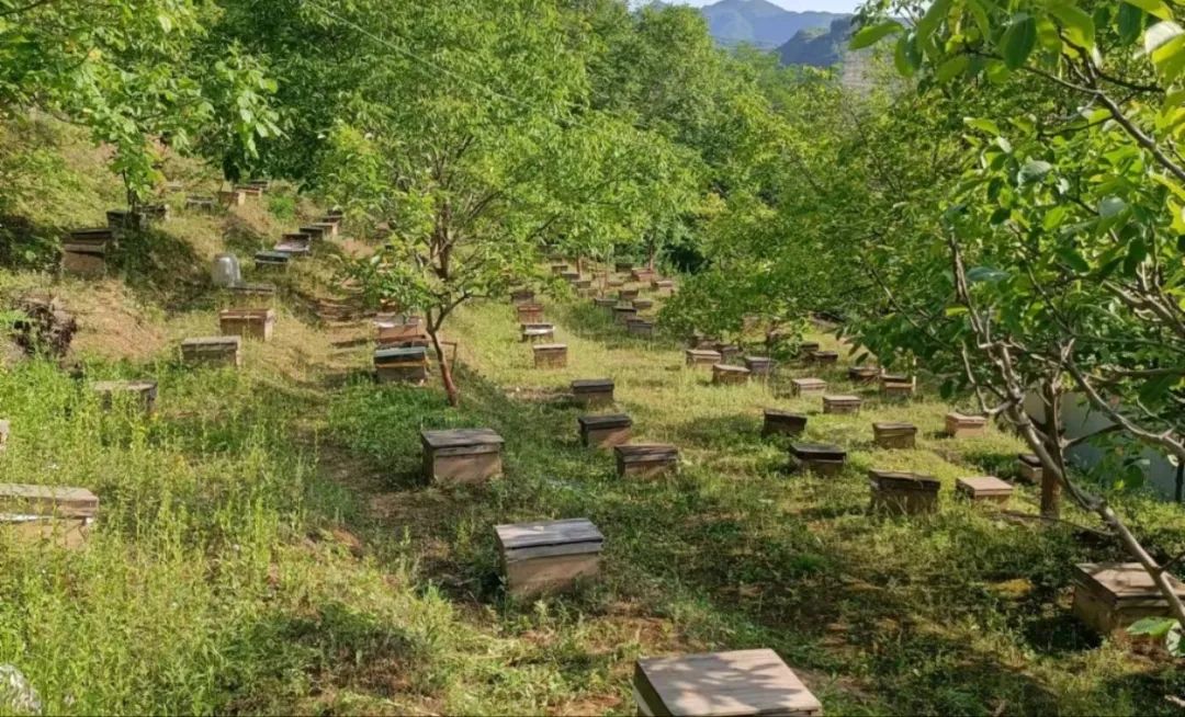 三抓三促行动工作上的六个结合,三抓三促行动分哪几个阶段进行