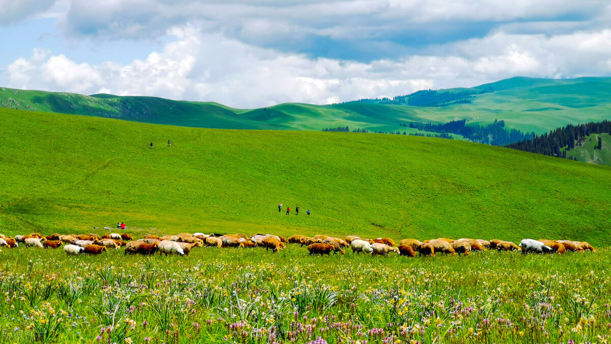 自驾哪里最好玩中国十大自驾游,自驾游5大经典路线自驾游攻略