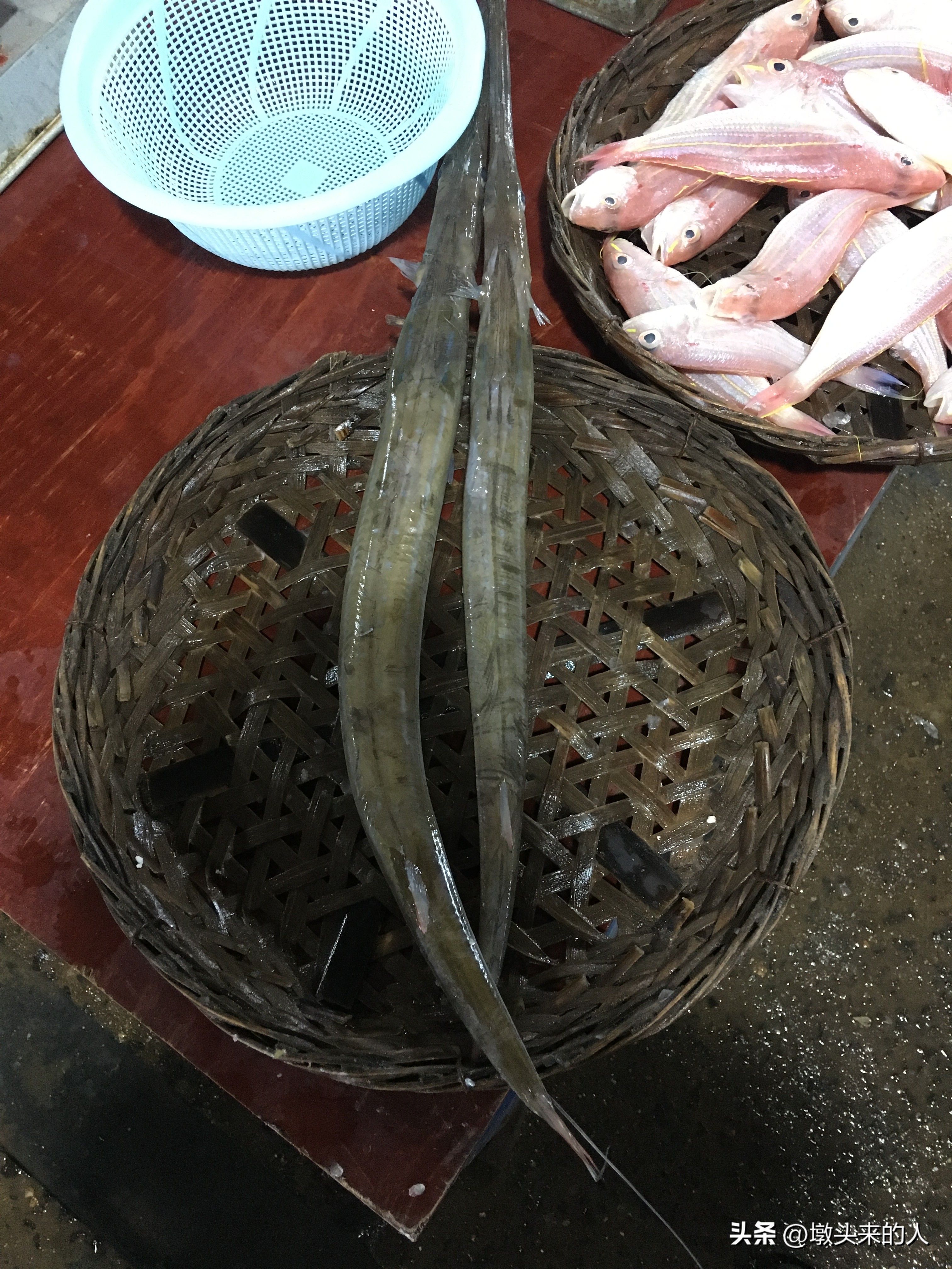 海鲜尖嘴鱼怎么做好吃,三亚海里哪种鱼最好吃