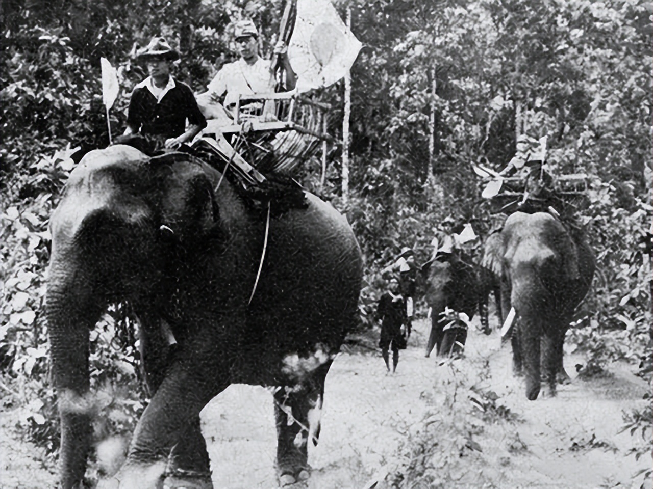 缅北的华夏同胞,缅北华夏同胞